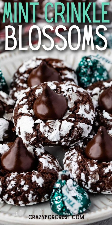 Chocolate Mint Crinkle Cookies - Crazy for Crust Triple Chocolate Peppermint Cookies, Mint Truffle Kiss Cookies, Chocolate Mint Crinkle Cookies, Best Crinkle Cookies Recipe, Junior Mint Cookies, Crinkle Cookies With Cake Mix Boxes, Christmas Cookies And Candies, Crinkle Cookie Recipes, Crinkle Cookies Recipe Cake Mixes