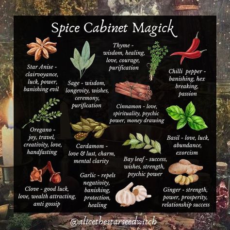 A L I C E ✨🌿 on Instagram: "SPICE CABINET MAGICK Did you know that you could have some magical herbs readily available in your kitchen cabinet? Here are some herbs that you can commonly find in your spice cabinet, which are full of magical properties and can be used in many ways… When spellwork calls for herbs there are endless ways to use them. Here are some ideas: - Have them on your altar during spell work - Dress a candle with them - Put them in a drawstring ‘mojo’ bag (which can be ca Spices In Witchcraft, All Spice Witchcraft, Witchy Cafe, Witch Plants, Empress Energy, Spell Ideas, Mystic Mama, Simmer Pots, Medicine Garden