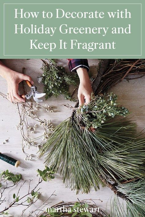 Learn how to make your fresh holiday greenery like evergreen boughs, pinecones, and winter berries in wreaths, garlands, and the Christmas tree itself—last through the season. Use our holiday greenery guide to help you create fragrant DIY holiday decor in a few steps. #marthastewart #christmas #diychristmas #holidaydiyideas #diycrafts #crafts Fresh Evergreen Garland, Making Fresh Christmas Wreaths, Evergreen Boughs Decorating Ideas, Decorating With Fresh Greens Christmas, Christmas Decor With Greenery, Christmas Evergreen Decor, Fresh Evergreen Decorations, Christmas Foliage Decorations, Natural Greenery Christmas Decor