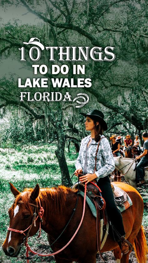 Lake Wales Florida, Travel Florida, Orlando Travel, Handy Dandy, Free Things To Do, Florida Travel, Good Time, Dandy, Wales