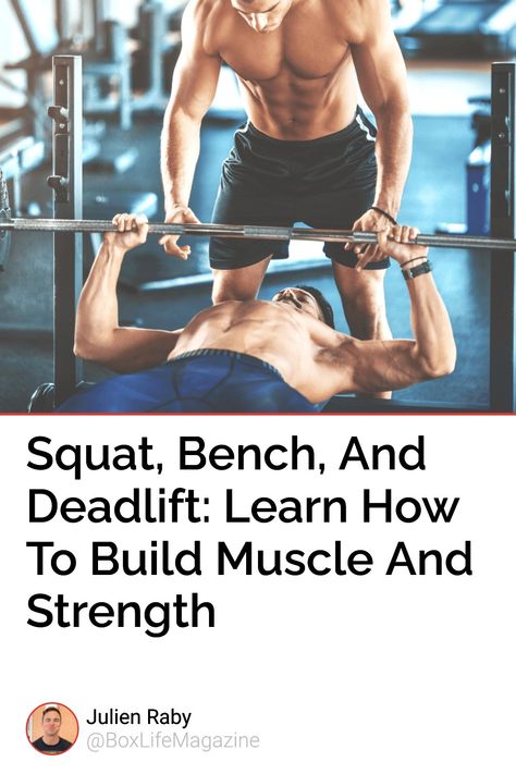 Squat Bench Deadlift, Barbell Deadlift, Gain Muscle Mass, Strength Program, Strength Training Program, Back Squats, Endurance Training, Major Muscles, Body Balance