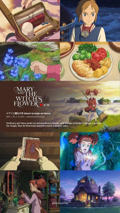 Studio Ghibli Books Aesthetic, Ghibli Movies List, Studio Ghibli Movie List, Good Animated Movies, Anime Studio, Movie Recommendations, Japanese Animated Movies, Anime Suggestions, Girly Movies