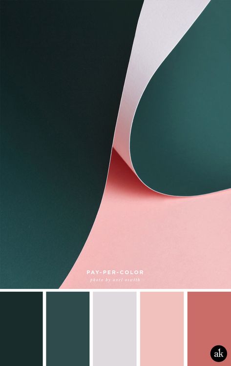 a paper-photograph-inspired color palette // hunter green, gray, dusty pink, antique rose // photo by Axel Oswith Sincere Color Palette, Pink And Dark Green Color Palette, Dark Branding Color Palette, Dark Green Pink Color Palette, Pink Green Black Color Palette, Lively Color Palette, Inspiring Color Palette, Colours That Go With Black, Black Pink Color Palette