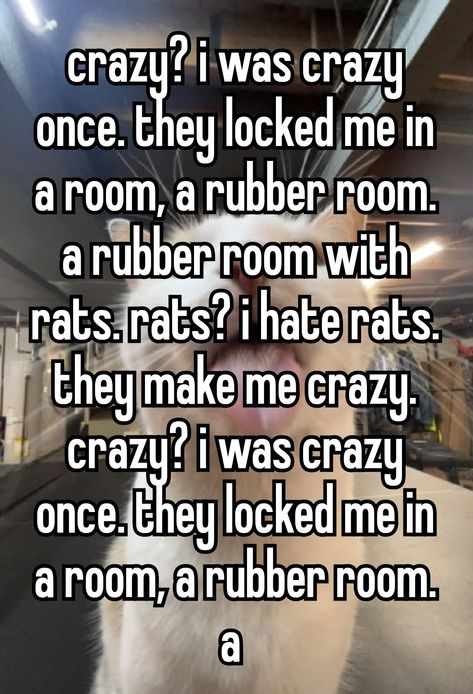 They Locked Me In A Room A Rubber Room, Rubber Room With Rats, I Was Too Silly, Lars Core, Crazy I Was Crazy Once, Silly Rat, Crazy Meme, Am I Crazy, Funny Looking Cats