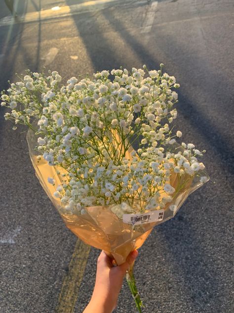 Insta Account, Boquette Flowers, Baby Breath, Baby S Breath, Nothing But Flowers, Flower Therapy, Beautiful Bouquet Of Flowers, Bouquet Of Flowers, Every Thing