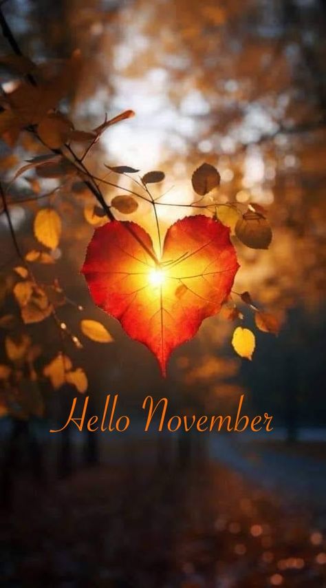 1st November Quotes, Hello November Images, Hello Novembre, Hallo November, Happy November 1st, Thinking Of You Images, Christmas Song Trivia, November Images, Neuer Monat