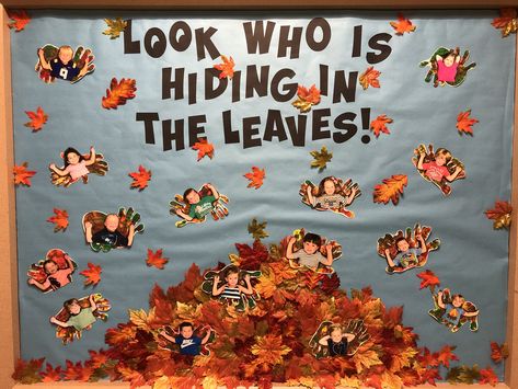 Look Who’s Hiding In The Leaves Bulletin Board, Acorn Bulletin Board Preschool, Fall Board Decorations, Early Childhood Education Bulletin Board, Fall Theme Boards Preschool, Pre K Fall Bulletin Board Ideas, Fall Bulliten Board Preschool, November Teacher Bulletin Board, Autum Board Preschool