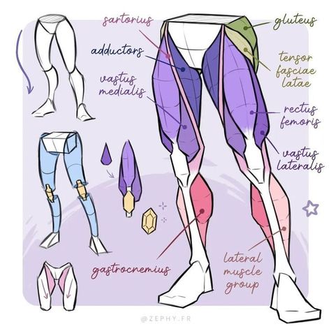 Leg Anatomy, Anatomy Tutorial, Human Anatomy Drawing, Human Anatomy Art, Anatomy Sketches, Body Reference Drawing, Anatomy Poses, Anatomy For Artists, 캐릭터 드로잉