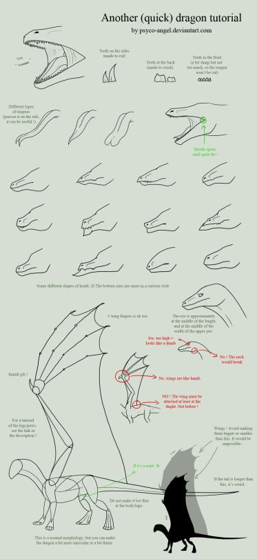 For People Bad at Arts Dragon Sketches, Draw A Dragon, Dragon Anatomy, Drawing Dragon, Sketches Ideas, Illustration Tutorial, Dragon Sketch, Drawing Drawing, Creature Drawings