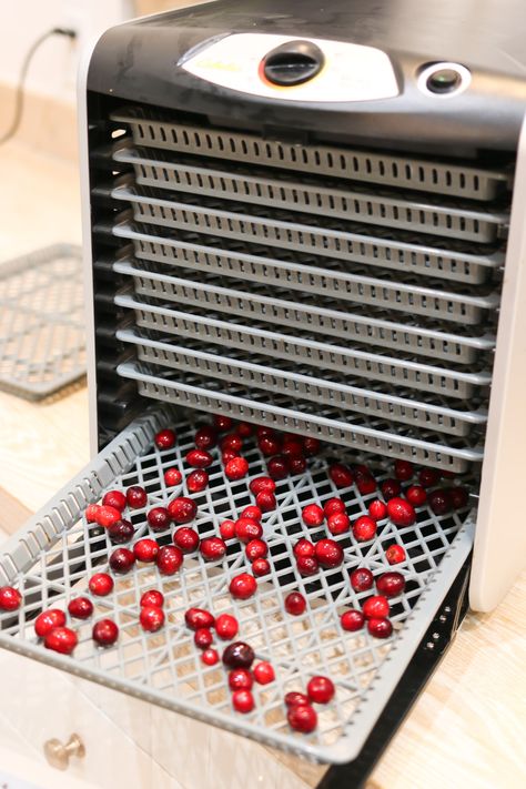 How To Dry Cranberries For Garland, Dehydrate Cranberries In Dehydrator, Dehydrating Cranberries In Dehydrator, How To Dehydrate Cranberries, How To Dry Cranberries For Potpourri, Dehydrate Cranberries, Dehydrating Cranberries, Stringing Cranberries, Cranberry Crafts