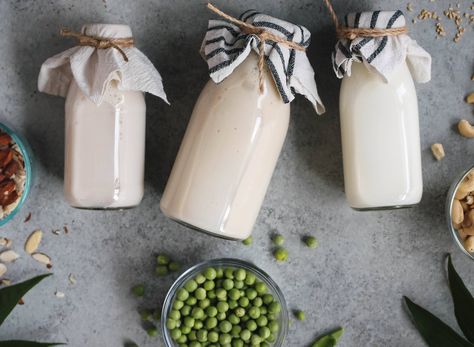 Put Down the Nut Milk. Pea Protein is Our Newest Obsession Pea Milk Recipe, Day Before Thanksgiving, Protein Milk, Milk Plant, Sources Of Protein, Eating Less, Pea Protein Powder, Farmers Cheese, Milk Smoothie