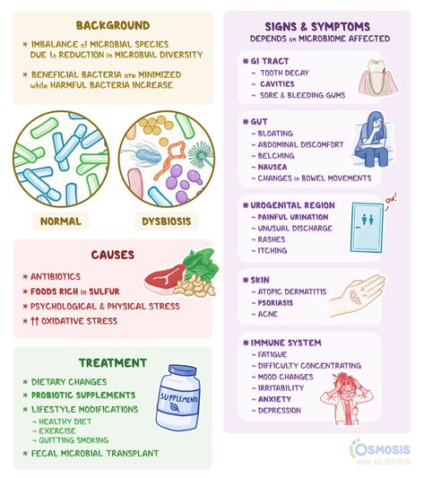 Dysbiosis: What Is It, Causes, and More | Osmosis Dysbiosis Diet, Gut Dysbiosis, Gut Protocol, Rash Causes, Gi Tract, Mood Changes, Beneficial Bacteria, Skin Food, Signs And Symptoms