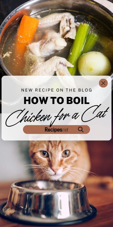 Want to make cat food homemade? Learn how to boil chicken for a cat in a few easy steps. Ensure your kitty enjoys a healthy, flavorful meal. Check out more recipes at recipes.net! #catnutrition #homemadefood #pets #healthycats #catfood Cat Food Recipes Homemade, How To Make Homemade Cat Food, Homemade Cat Food For Senior Cats, Homemade Soft Cat Food, Chicken Cat Food Recipe, Homemade Cat Food For Sensitive Stomach, Homemade Urinary Cat Food, Home Made Cat Food Recipes Healthy, Homemade Cat Food Recipes Easy