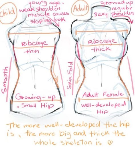 Hips Reference Drawing, Torso Reference Female, Torso Reference Drawing, Hips Drawing Reference, Female Character Sheet, Female Torso Reference, Basic Anatomy Drawing, Torso Tutorial, Thick Body Reference