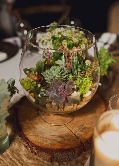 rustic succulent wedding centerpiece / http://www.himisspuff.com/rustic-wedding-centerpiece-ideas/17/ Amazing Wedding Centerpieces, Carondelet House Wedding, Terrariums Diy, Creative Wedding Centerpieces, Succulent Wedding Centerpieces, Terrarium Centerpiece, Terrarium Wedding, Succulent Centerpieces, Deco Nature