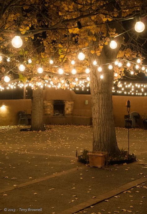 String Lights Outdoor Wedding, Outdoor Wedding Lighting, Backyard Trees, Diy Outdoor Lighting, Patio String Lights, String Lights Wedding, Thanksgiving Decorations Diy, Backyard Lighting, Outdoor Diy Projects