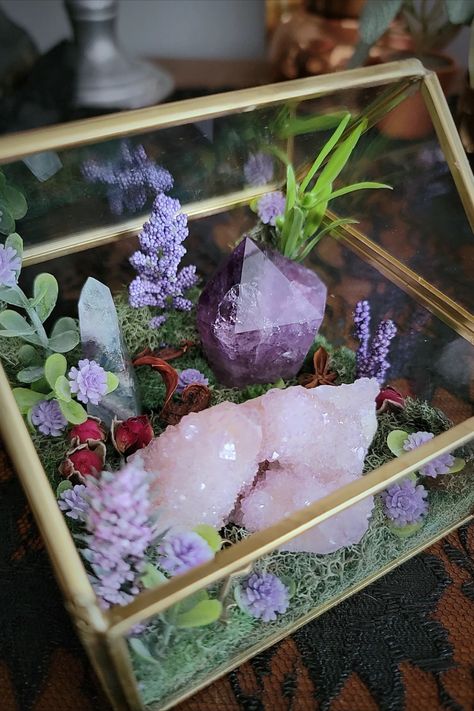 Mirror Design Bathroom, Crystal Terrarium Diy, Crystal Garden Terrarium, Bathroom Mirror Size, Crystal Collection Display, Display Crystals, Wild Witch, Witch Crystals, Terrarium Succulent