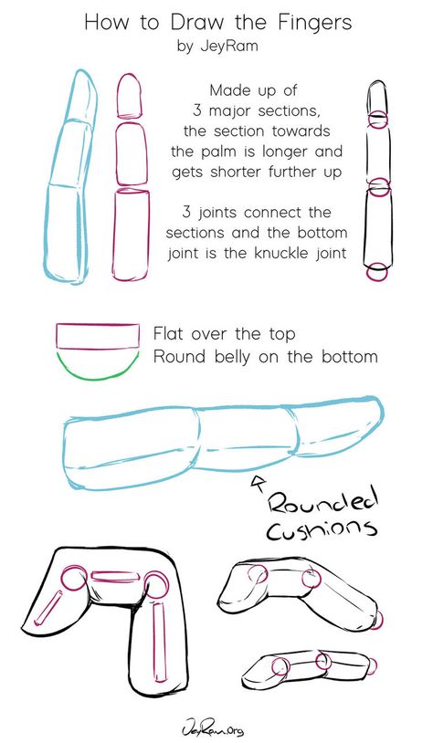 How to Draw the Fingers by JeyRam #art #drawing #tutorial How To Practice Drawing Hands, Finger Anatomy Drawing, Drawing Fingers Tutorial, Thigh Highs Reference Drawing, Fingers Tutorial Drawing, How To Sketch Fingers, Hand Digital Art Tutorial, How To Draw Hands Anatomy, Hand Art Refrences