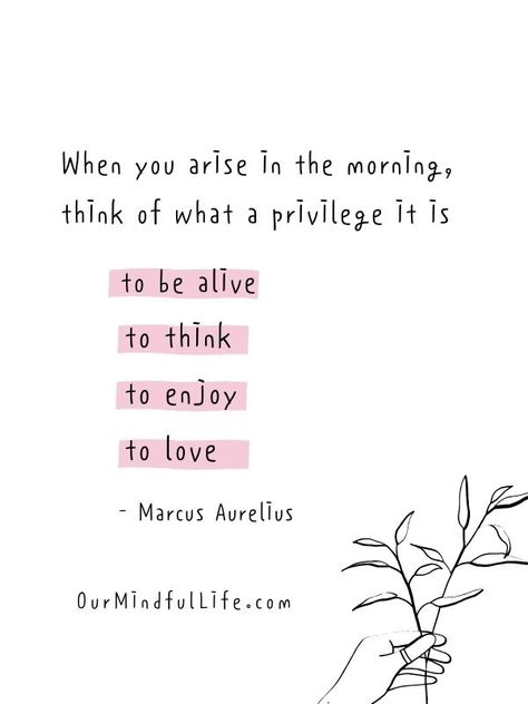 When you arise in the morning, think of what a privilege it is to be alive, to think, to enjoy, to love. - A good morning quote that inspires gratitude Good Morning Affirmations Quotes, Amber Core, Cute Morning Quotes, June Quotes, 2022 Quotes, Positive Morning Quotes, Cute Text Quotes, Positive Good Morning Quotes, Good Morning Quote