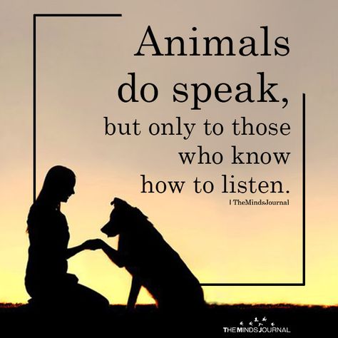 Animals Do Speak - https://themindsjournal.com/animals-do-speak/ Animal Lover Quotes, Animal Communication, Humanity Quotes, Now Quotes, Dog Quotes Love, Animal Based, Animal Guides, Baby Puppies, Animal Quotes