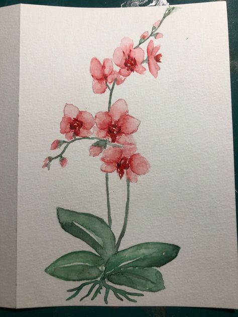 Orchids Painting Watercolors, Orhidee Flowers Drawing, Orchid Watercolour Painting, Pink Orchid Drawing, Orchid Aesthetic Drawing, Simple Orchid Painting, Orchid Sketch Drawing, Cattleya Orchid Drawing, Orchid Painting Easy