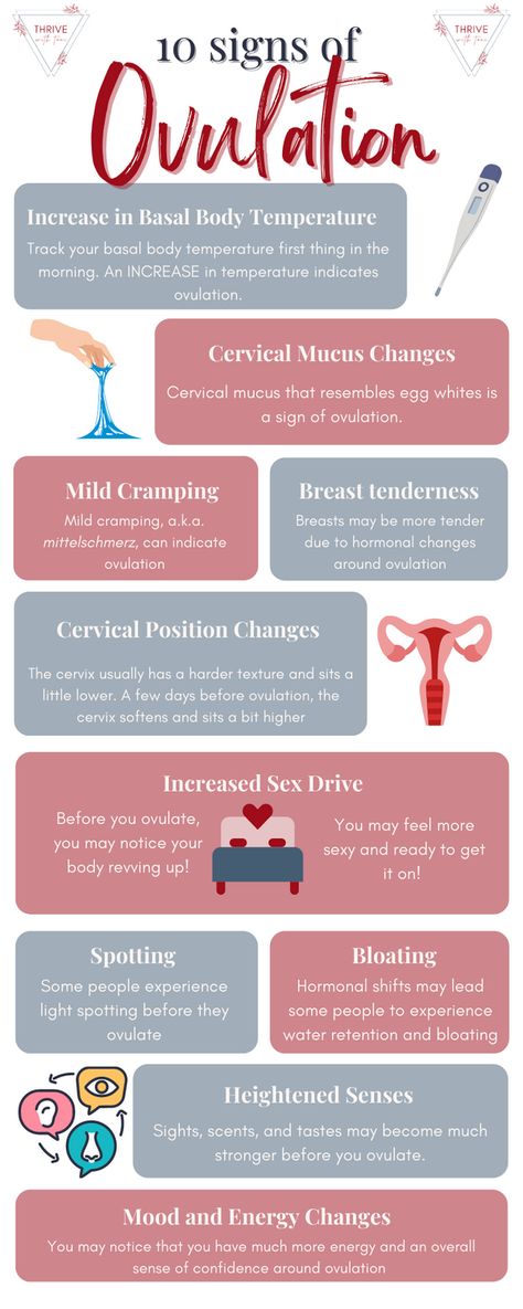 Ovulation Signs, Hormone Nutrition, Ovulation Cycle, Fertility Tracking, Fertility Awareness Method, Ovulation Tracking, Cervical Mucus, Healthy Pregnancy Tips, Fertility Awareness