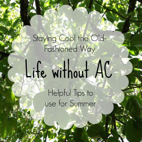 Electricity Free Living, Keeping Cool Without Ac, How To Stay Cool Without Ac, Pioneer Living, Suburban Homestead, Homestead Diy, Sustainable Farm, Homesteading Diy, Hot House