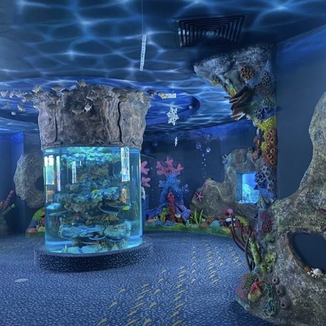 Liminal Aquarium, Ocean Core Room, Cleancore Aesthetic, Ocean Themed Room, Aquarium Pictures, Ocean Room, Bangunan Minecraft, Toro Inoue, All The Bright Places