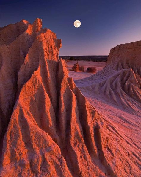 Sand Dune Aesthetic, Desert Collage, Desert Inspiration, Desert Aesthetic, Life On Mars, Have Inspiration, Nsw Australia, Zion National Park, In The Desert