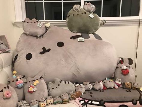 My Pusheen Plushie Collection (so far) - Imgur Pusheen Plushie Aesthetic, Pusheen Pillow, Pusheen Plushies, Cute Pusheen, Pusheen Collection, Pusheen Love, Plushie Collection, Pusheen Plush, Images Hello Kitty