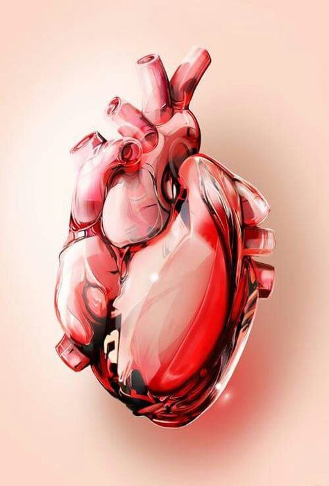 Heart of glass Human Heart Anatomy, Anatomical Heart Art, Illustration Art Nouveau, 3 Hearts, Art Tumblr, Heart Illustration, Ad Agency, Medical Art, Anatomical Heart