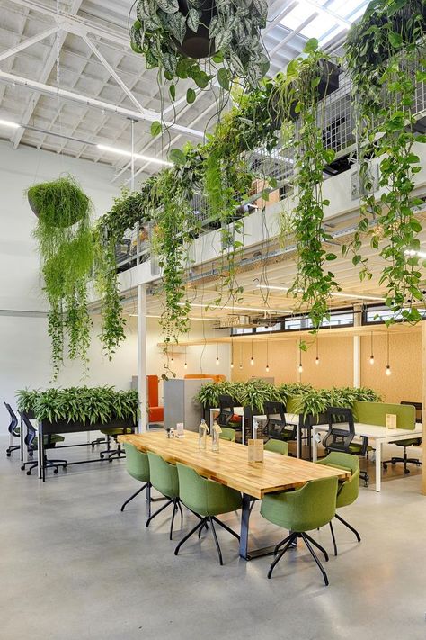 Biophilic Office Design, Biofilic Design, Coworking Office Design, Biophilic Office, Biophilic Architecture, Interior Design Plants, Office Green, Mediterranean Interior Design, Cool Office Space