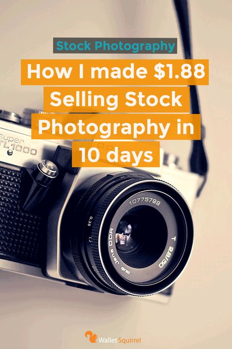 How I made $1.88 Selling Stock Photography in 10 days as a new Shutterstock Contributor Where To Sell Stock Photos, How To Sell Stock Photos, Selling Stock Photos, 2023 Jobs, Stock Photography Ideas, Selling Photography, Shutter Stock, Selling Photos, Selling Photos Online