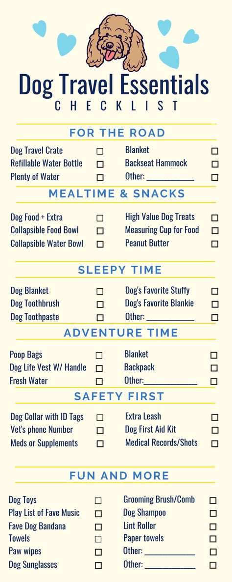 What do you pack for a road trip with your dog? We've broken this list down by activity so you'll have a complete list of everything you need when traveling with your dog. Dog Holiday Packing List, Beach Trip With Dog, Dog Vacation Packing List, Dog Travel Bag Essentials, Puppy Travel Bag Packing Lists, Travel Packing Ideas Road Trips, Dog Travel Packing List, Traveling With A Dog Road Trips, Traveling With Your Dog