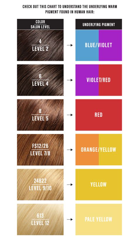 Underlying Pigment Chart, Hair Color Level Chart, Natural Level 8 Hair Color, Hair Color Levels 1-10 Chart, Hair Color Number Chart, Hair Level Chart, Hair Color Theory, Level 8 Hair Color, Professional Hair Color Chart