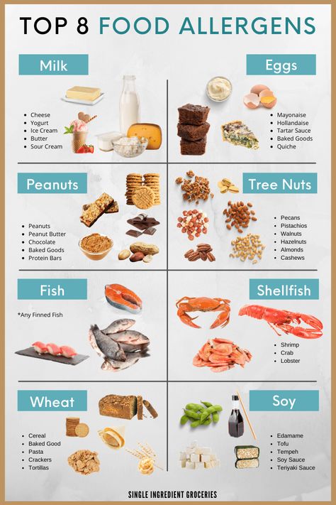 Did you know that the top 8 food allergens make up 90% of all food allergies today? This list of the Top 8 food allergens will give you examples of food allergen examples and safe food substitutions. Get our handy food allergy infographic for daily use. https://www.singleingredientgroceries.com/top-8-food-allergens-and-food-substitutions-you-should-know/ #peanutallergy #foodallergy #milkallergy Fish Allergy, Shellfish Allergy, Food Allergies Awareness, Tree Nut Allergy, Allergy Awareness, Starting Solids, Peanut Allergy, Food Substitutions, Food Allergens