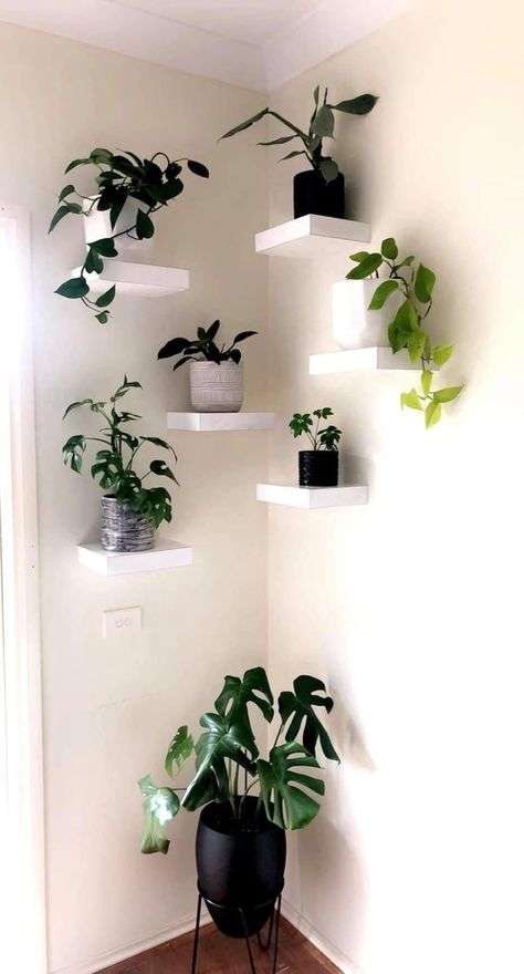 Plant Display Ideas, Christmas Patio, Minimalist Living Room Design, Diy House Renovations, Living Room Plants, Diy Apartment Furniture, Living Room Design Ideas, Diy Baby Furniture, Plant Display