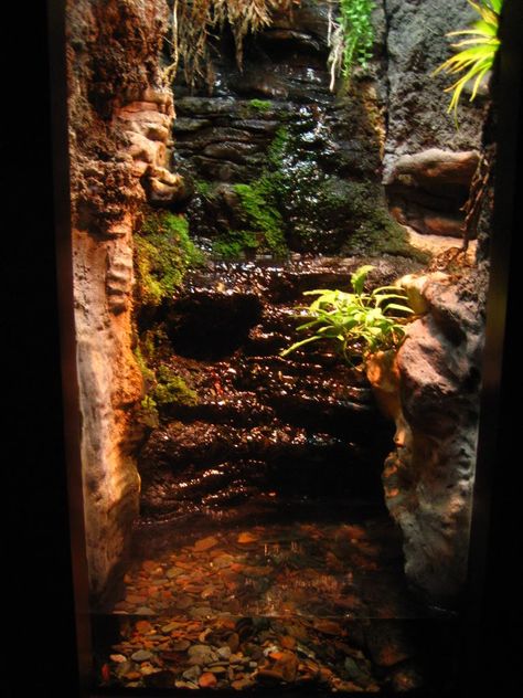 This nice terrarium looks like a cave with moss! Cave Terrarium, Bearded Dragon Vivarium, Snake Enclosure, Gecko Terrarium, Dart Frogs, Reptile Room, Reptile Tank, Cave Home, Reptile Terrarium