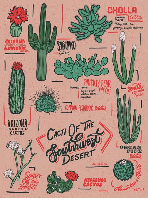 Cacti Of The Southwest :: Behance Cactus Illustration Art, Western Art Ideas, Southwest Aesthetic, Astros Jacket, Cacti Art, Southwest Pattern, Illustrated Poster, Cactus Illustration, Western Artwork