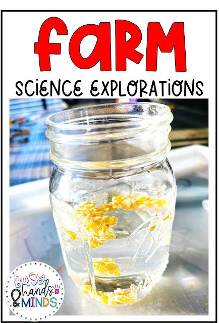 Farm Themed Science Experiments, Farming Science Preschool, Farm Animals Unit Preschool, Farm Large Motor Preschool, Farm Science For Toddlers, What Comes From A Farm Preschool, Preschool Farm Stem Activities, Farm Unit Study Kindergarten, Farm Life Science Preschool