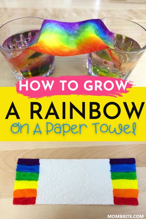 Paper Towel Experiment, Grow A Rainbow, Science For Toddlers, Summer Calendar, Rainbow Activities, April Crafts, Preschool Science Activities, Science Experiments For Preschoolers, St Patrick Day Activities