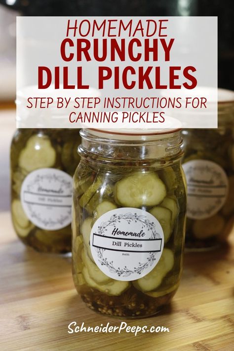 Learn how to can your own delicious dill pickles with our easy-to-follow recipe! Crunchy cucumbers, aromatic dill, and tangy brine combine for homemade perfection. Preserve the flavors of summer with this canning favorite Crunchy Pickles Canning, Crisp Dill Pickle Canning Recipe, Crunchy Dill Pickle Recipe, Crispy Dill Pickle Recipe, Crispy Dill Pickles, Crunchy Dill Pickles, Canning Pickles Recipe, Pickles Canning, Crunchy Pickles