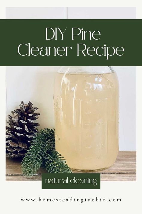 Diy Natural Pine Cleaner, Diy Pine Oil, Pine Vinegar Cleaner, Homemade Pine Sol Cleaner, Diy Pine Needle Cleaner, Diy Pine Sol, Homemade Pinesol Cleaner, Homemade Pine Cleaner, Diy Pine Sol Cleaner