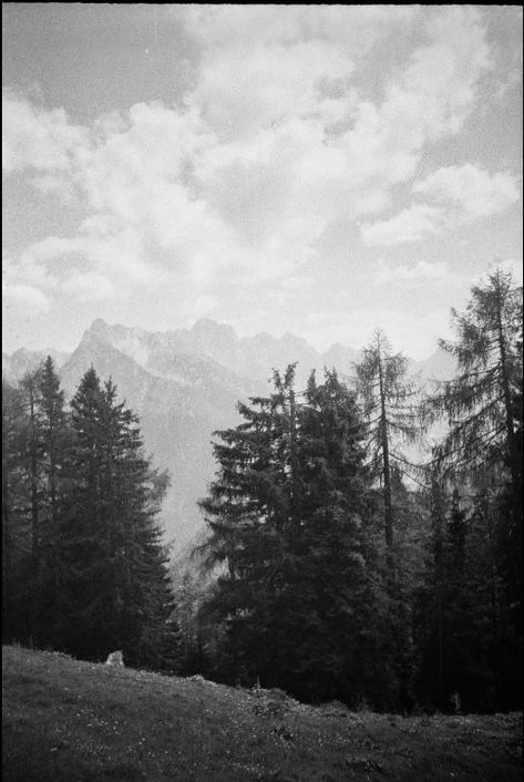 Forest Black And White Photography, Old Landscape Photos, Black And White Film Photography Nature, Black And White Film Photos, Film Photography Mountains, Bw Film Photography, Forest Film Photography, Black And White 35mm Film, Black And White Film Photography 35mm