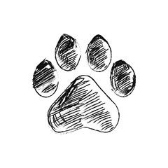 Paw Sketch, Dog Paw Drawing, Paw Illustration, Tattoo Care Instructions, Memorial Tattoo Designs, Paw Drawing, Animal Footprints, Dog Paw Tattoo, Realistic Temporary Tattoos