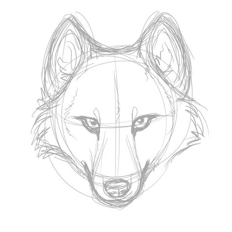 Wolf Face Drawing, Lup Singuratic, Wolf Sketch, Canine Drawing, 동화 삽화, Wolf Face, Animal Drawings Sketches, Wolf Drawing, Easy Drawings Sketches