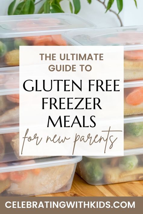 Dinner Freezer Meals, Gluten Free Frozen Meals, Gluten Free Freezer Meals, Freeze Meals, Easy Gluten Free Dinner, Beef Freezer Meals, Vegetarian Freezer Meals, Gluten Free Meal Prep, Gluten Free Meals