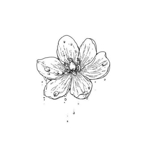 skeleton flower: jonghyun Diphylleia Grayi, Skeleton Flower, Korean Tattoos, Tattoos Designs, A Flower, Skeleton, Tattoo Ideas, Tattoos, Water