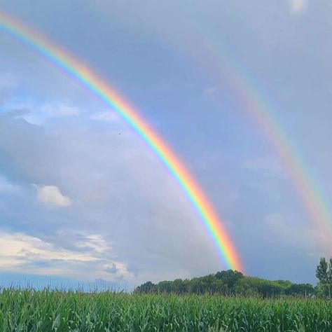 Rainbow In Rain, Rainbow Widget Aesthetic, Rainbow Weather Aesthetic, Best Friend Soul Mate, Camp Half Blood Cabins, Aesthetic Rainbow, Pretty Henna Designs, Rainbow Photo, Rainbow Sky