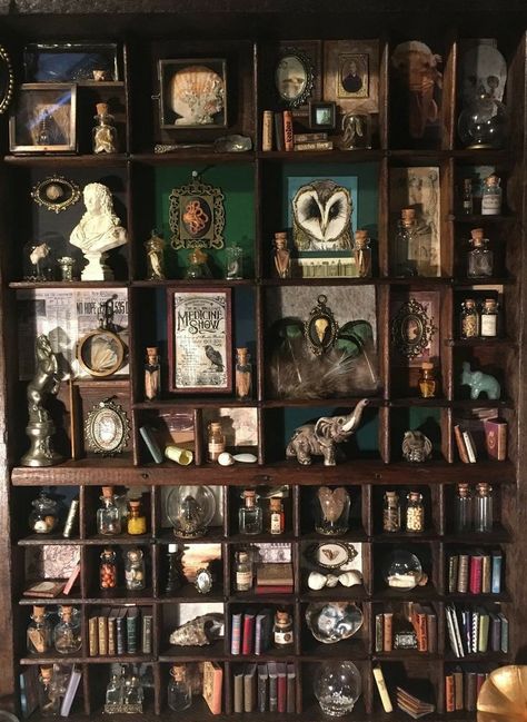 Curio Cabinet Styling Ideas, Dark Old World Decor, Gothic Library Decor, Capturing Home Show, Witchy Shadow Box Ideas, Dark Academia Shelves, Displaying Crystals In Home, Dark Academia Classroom Aesthetic, Witchy Apothecary Decor